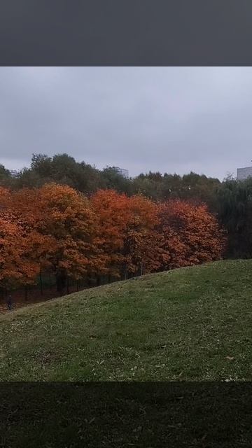 Осенние краски