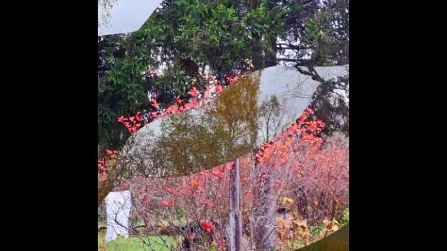 Прекрасный октябрь и песня Frank Sinatra Autumn Leaves.mp4