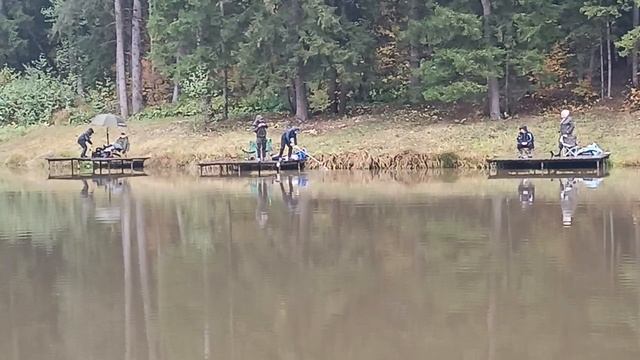 Forest Fishing 11.10.25