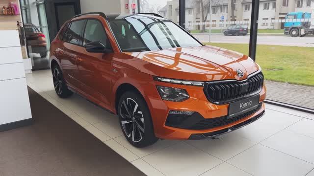 Skoda Kamiq 2025 года