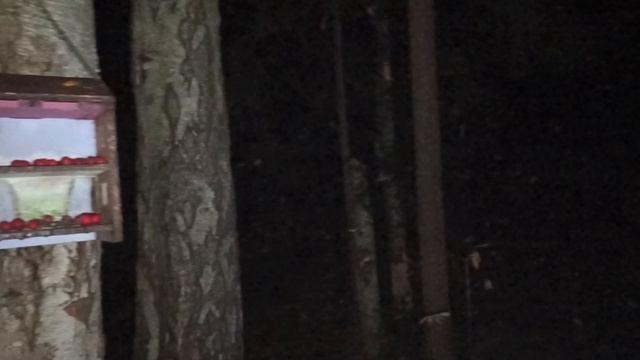 117.mp4