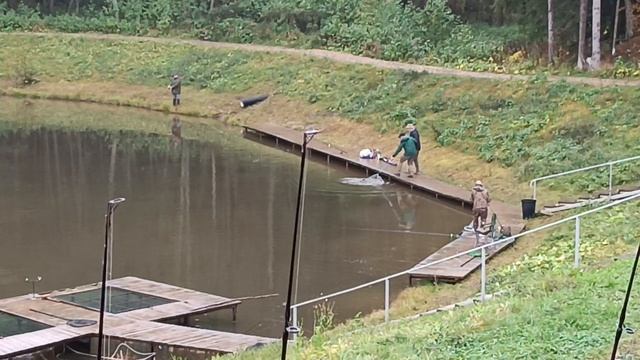 Forest Fishing 11.10.25