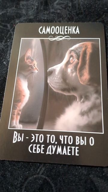 КАРТА ДНЯ НА 11.10.25.