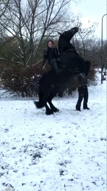 Blackknightmen