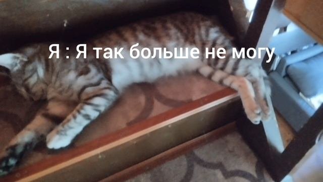 Pov 2 дня у бабушки