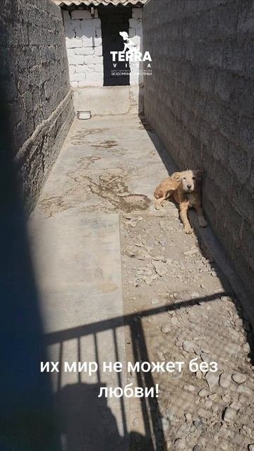 пока горит огонь