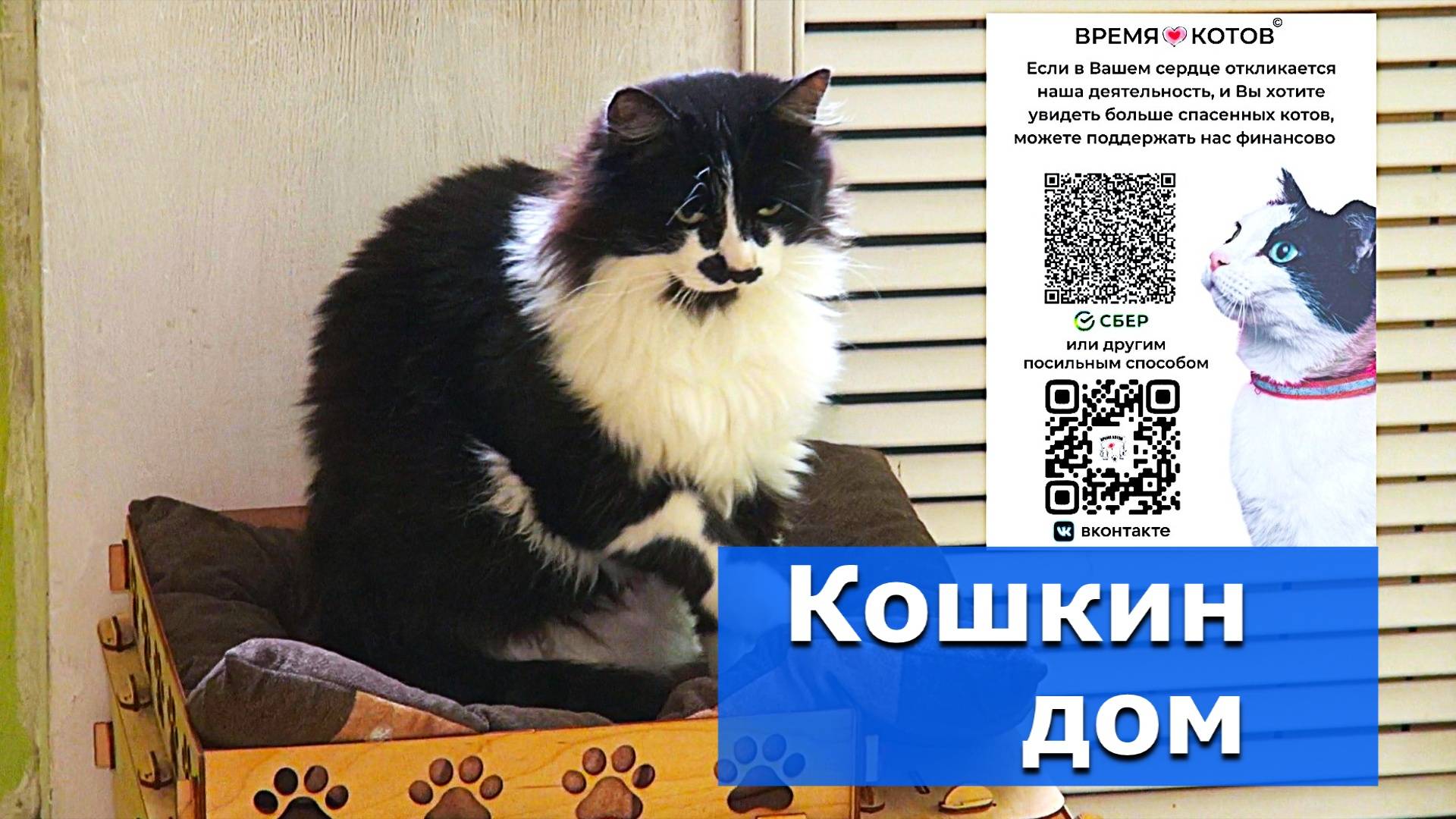 111 хозяев в доме – Видеосюжет «Альтаира»