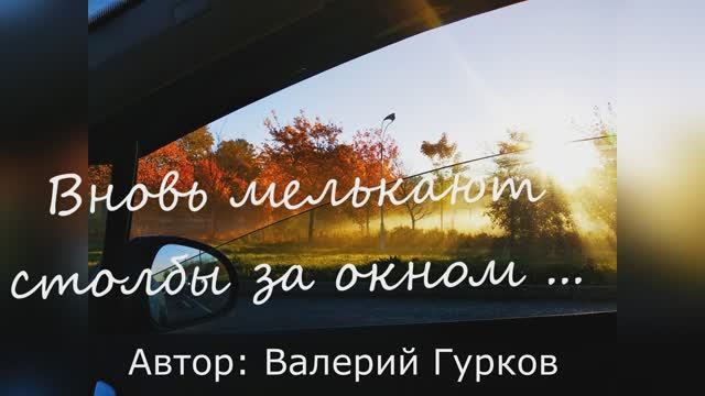 Валерий Гурков  
