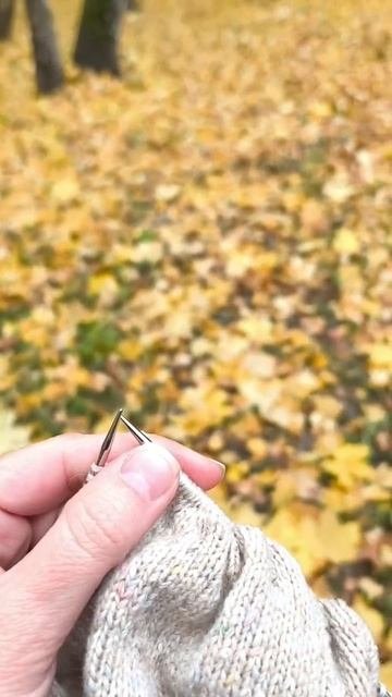осень шуршит под ногами и падает с неба ☺️
