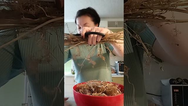 КОФЕЙНУЛА и понеслось 
