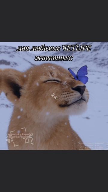 [🐾] - топ пять ЛЮБИМЫХ{я не обязательно хочу их заводить}
1. кошка
2. лев
3. собака
4. лошадь
5. дра