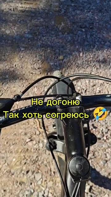 Не догоню хоть согреюсь 🤣