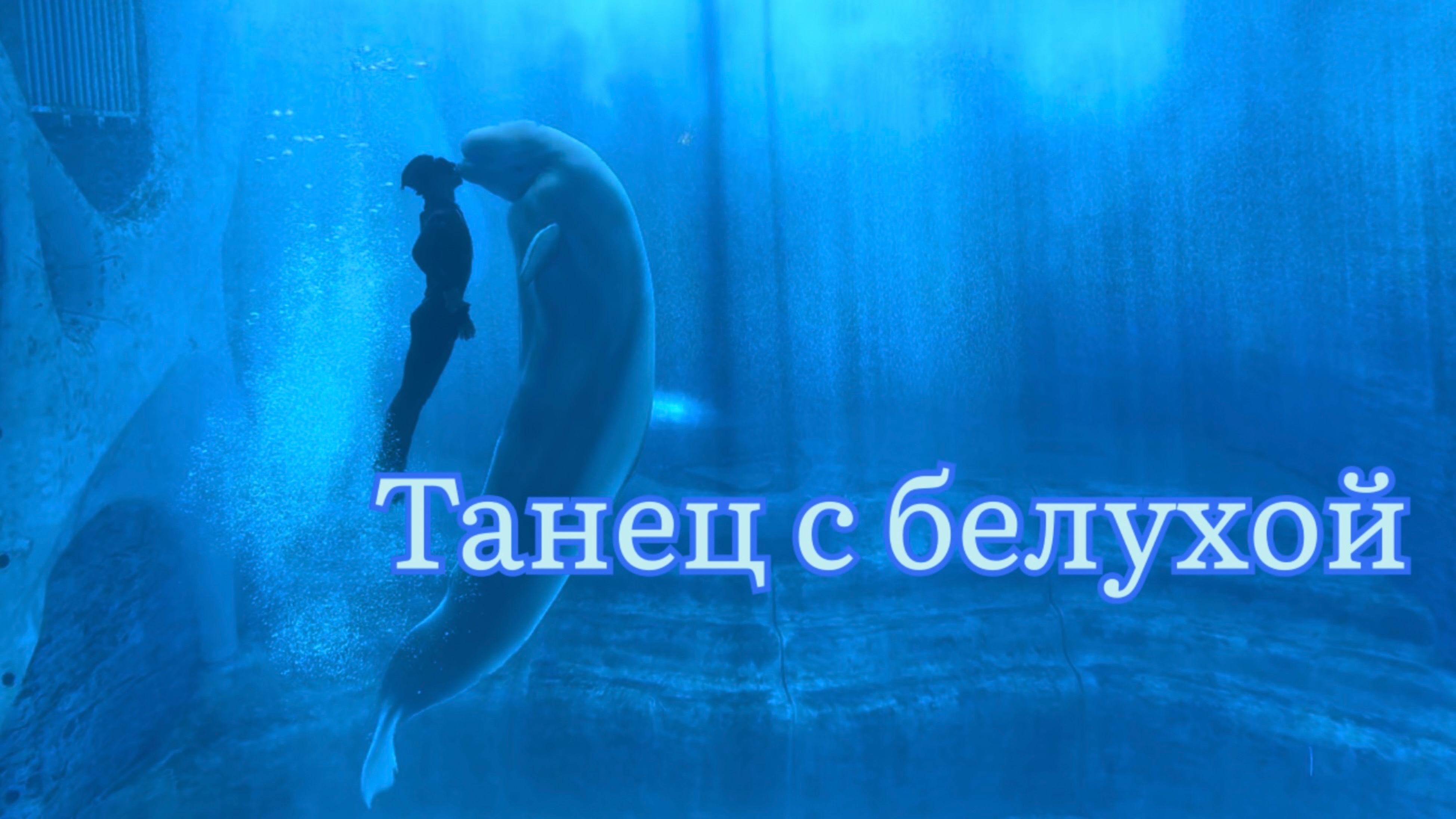 Нежный и трогательный танец с белухой в океанариуме Атлантис на острове Хайнань