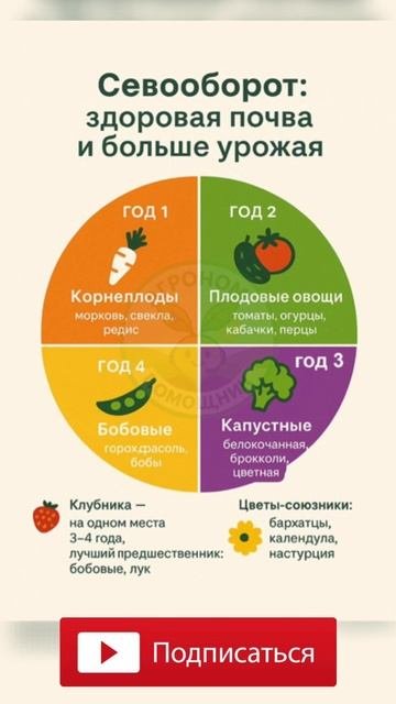 ♻️ Севооборот — главный секрет живой и плодородной земли!