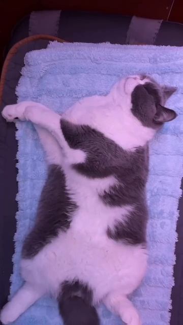 Красиво жить не запретишь😂