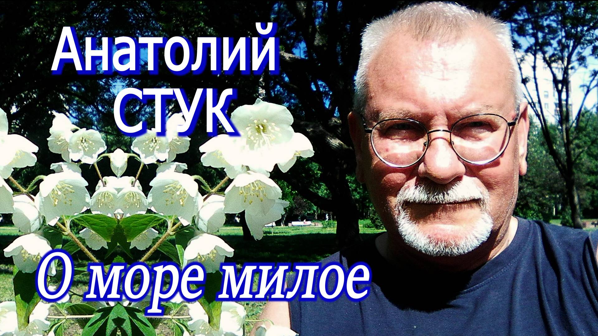 Анатолий Стук - О море милое