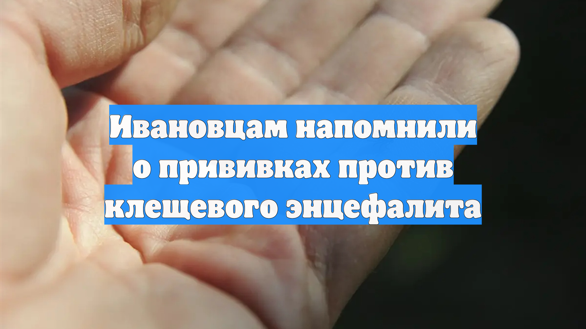Ивановцам напомнили о прививках против клещевого энцефалита