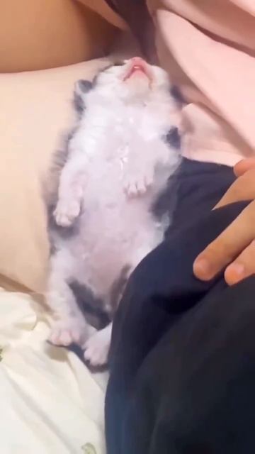 Сладких снов😍