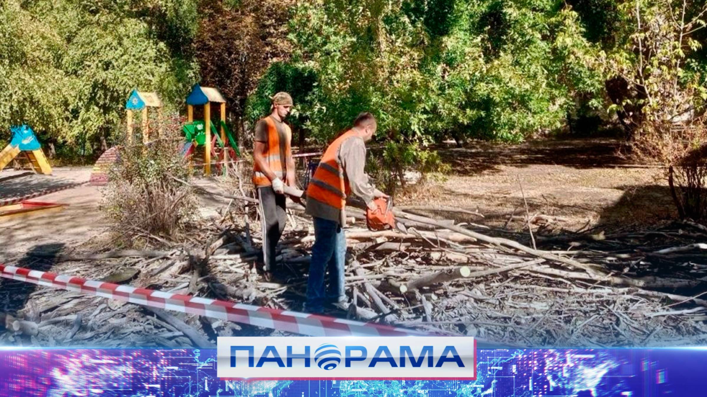 ⚡️ Спили сухостой во дворе по просьбе дончанки сразу после обращения на прямой эфир к Главе ДНР