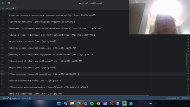 Sim_net_lab3_отчет