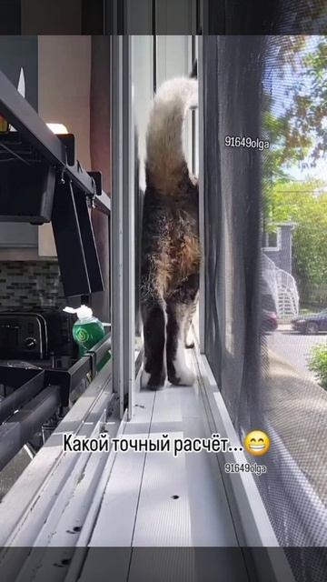 Идеальный разворот