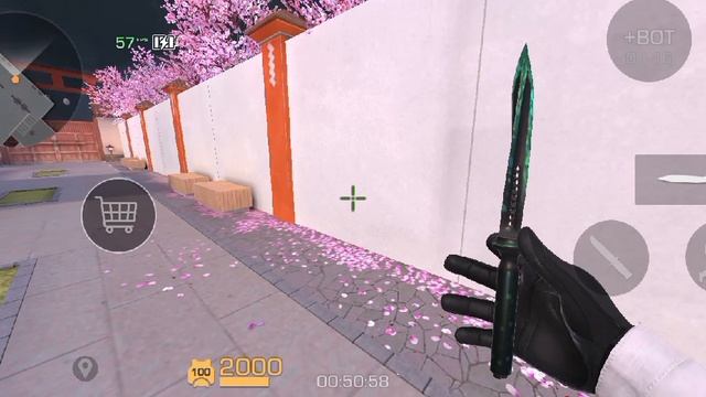 1000034551.mp4