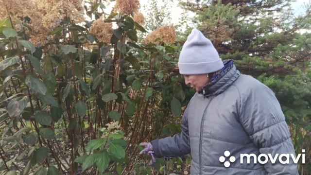 Цели поставлены, ПОЕХАЛИ!