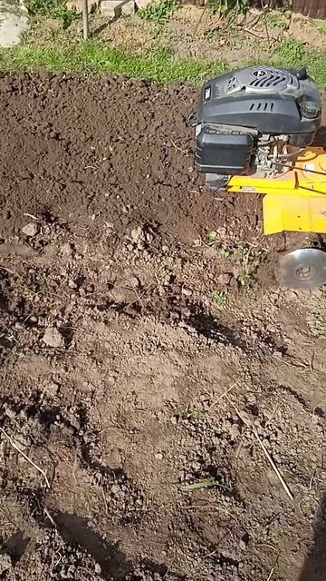 Вспашка земли в огороде осенью