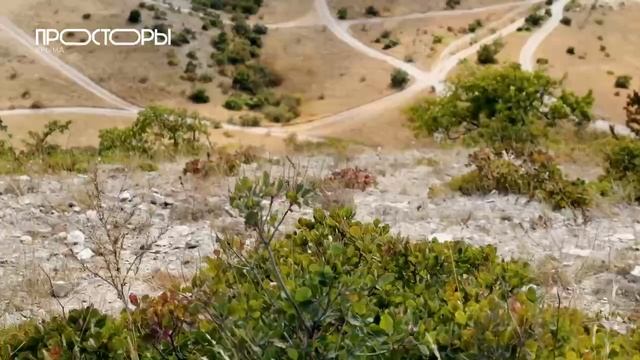 Просторы Крыма - покоряй песочные барханы и красоту природы Феодосии