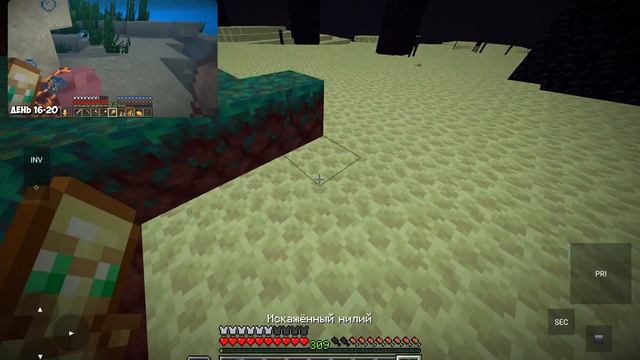 1000004370.mp4