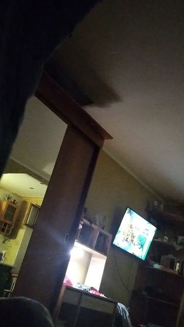 1000025703.mp4