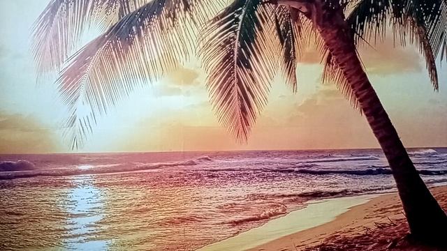 2.🏕Приключения Богослова📖🕯Книга Бытия. 1000005973.mp4