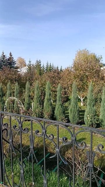 11 октября 2025 Святая канавка в Дивеево,Нижегородская область. Поездка- Нины Филиппович.