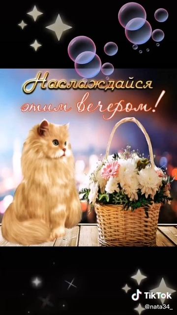 VID-20251011-WA0131.mp4
