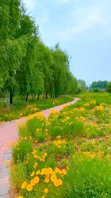 video_9352070761022.mp4