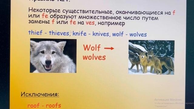 Plurals