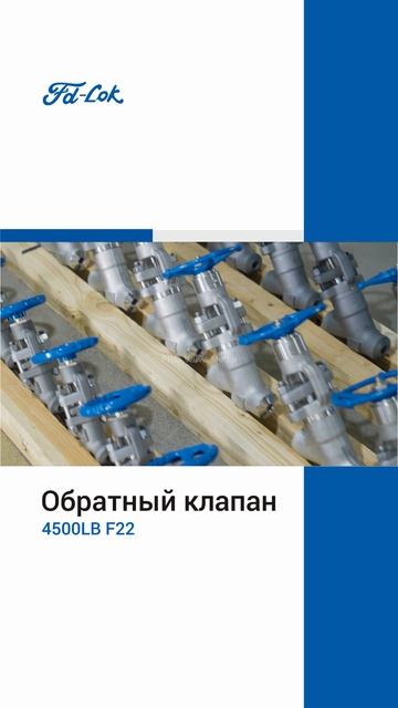 4500LB F22 Обратный клапан-FDLOK