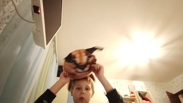 шлёпа
