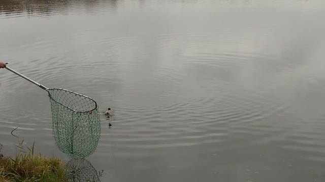 1000037289.mp4