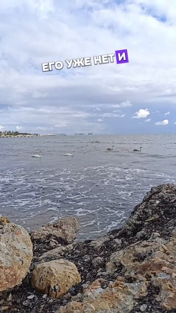 1000044166.mp4