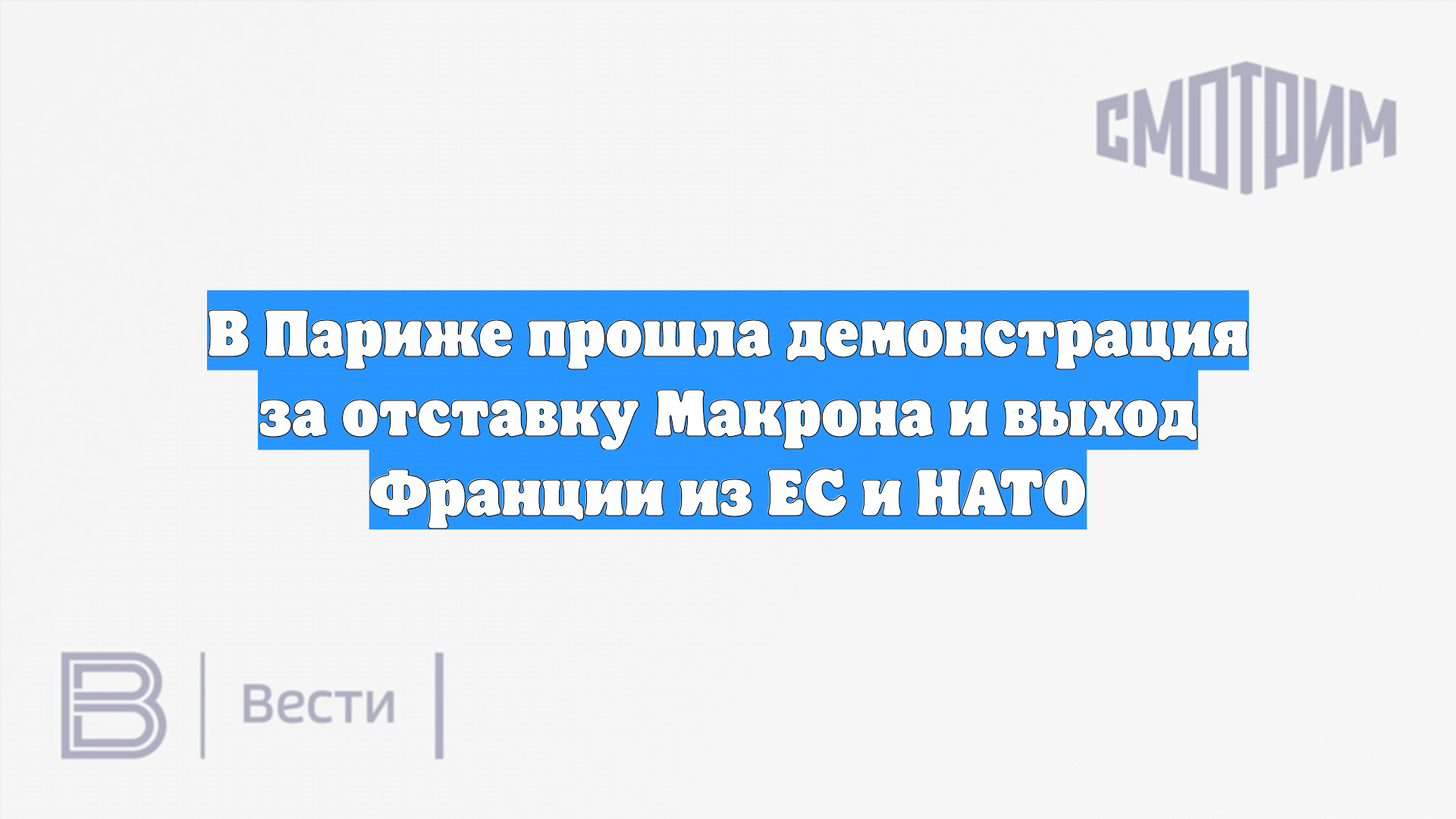 В Париже прошла демонстрация за отставку Макрона и выход Франции из ЕС и НАТО