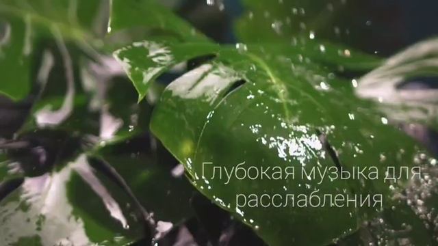 МУЗЫКА ДЛЯ СНА | МЕДИТАЦИЯ | РЕЛАКСАЦИЯ
