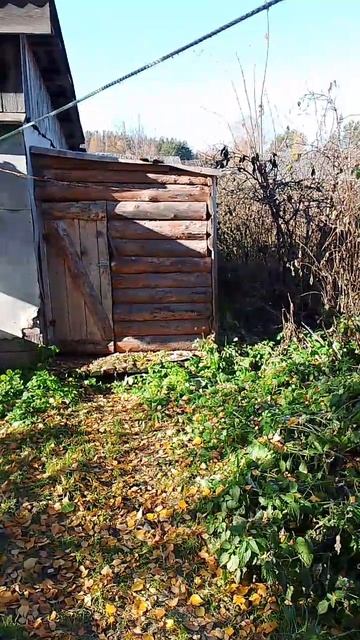 Собак на охоту