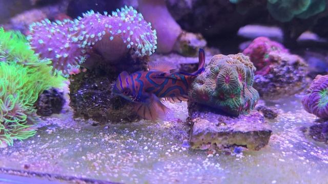 Кусочек моря