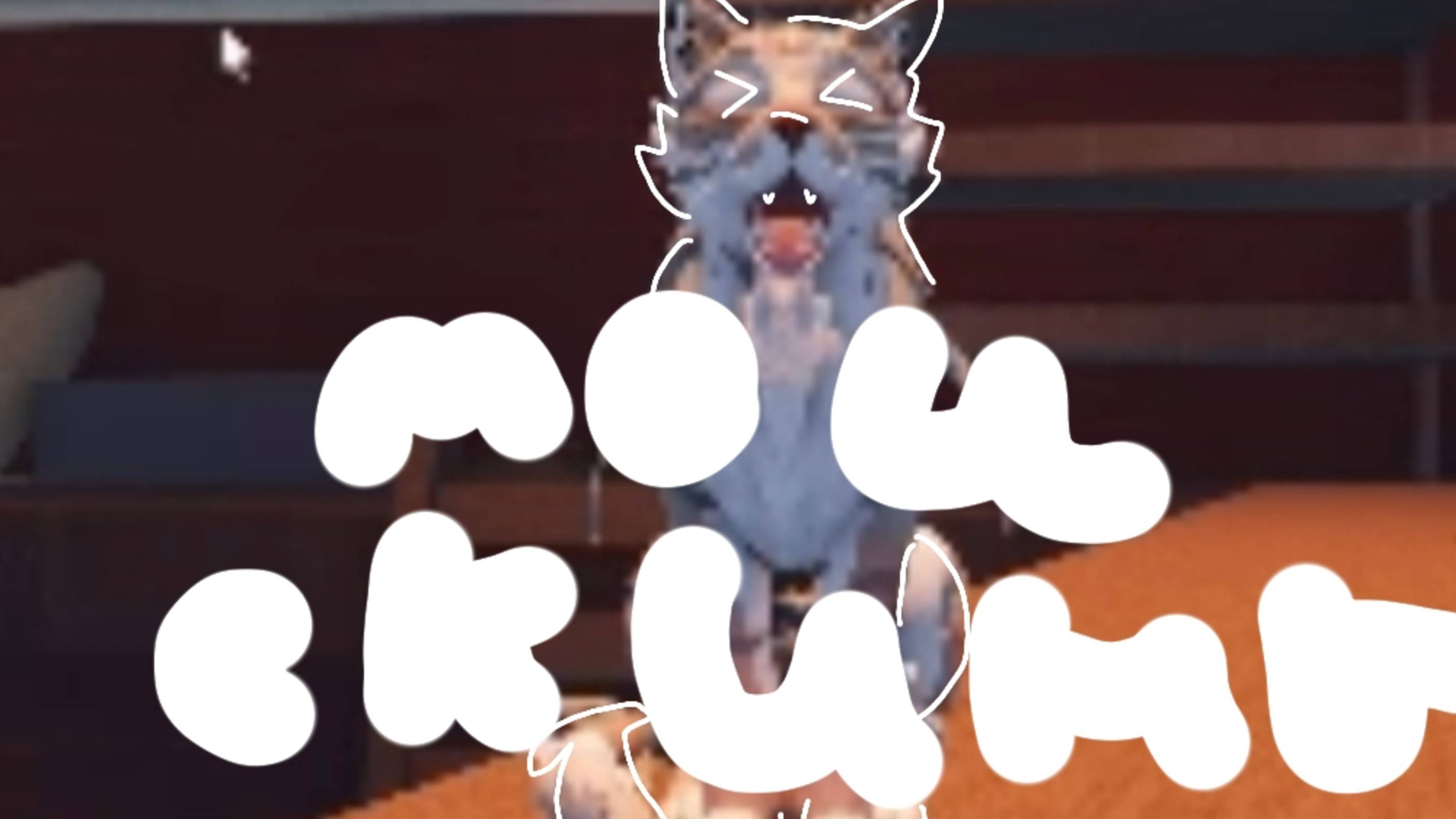 Все мои скины во Wcue! ﹤3. #warrioscats #wc #Эхо #котывоители #вкуе