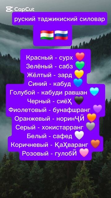руский таджикиский силовар руский таджикиский силовар 🇷🇺🇹🇯