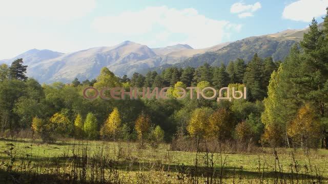 Осенние этюды