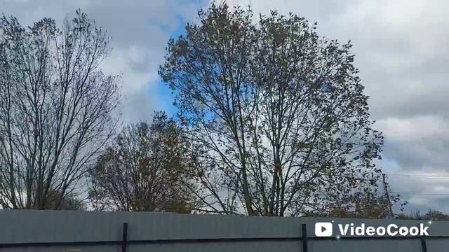 Наши 8,4 сотки.🏡Высадила чудо-цветы 🥀 🤷♀️Подготовила грядку под свеклу,к следующей весне.