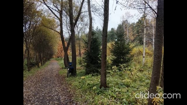 Добрый день, любимое Пушкино!!!!!!!!!!!!!!!!!!!!!!!!!