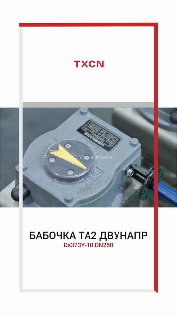 Ds373Y-10 DN250 БАБОЧКА TA2 ДВУНАПР-TXCN